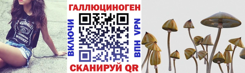 Галлюциногенные грибы Cubensis  что такое   Уяр 